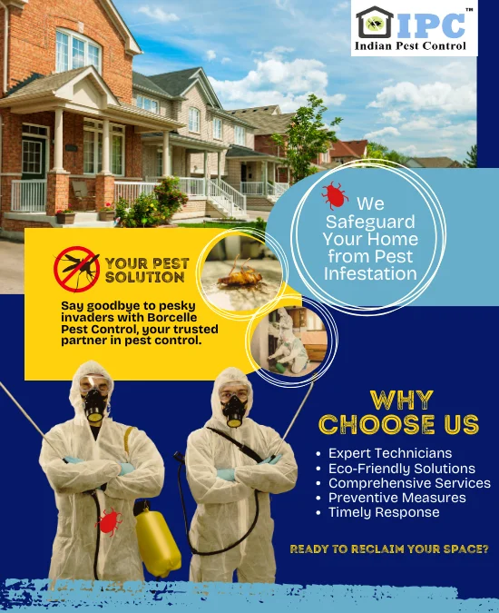 Pest Control services in ponda