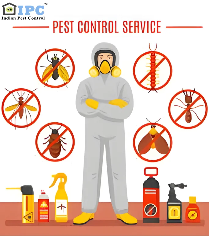 best pest control services in ponda