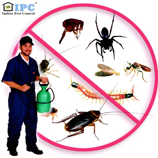 best pest control services in ponda